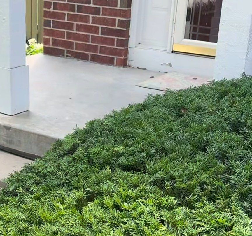Trimmed shrubs and clean bed lines beside a front porch