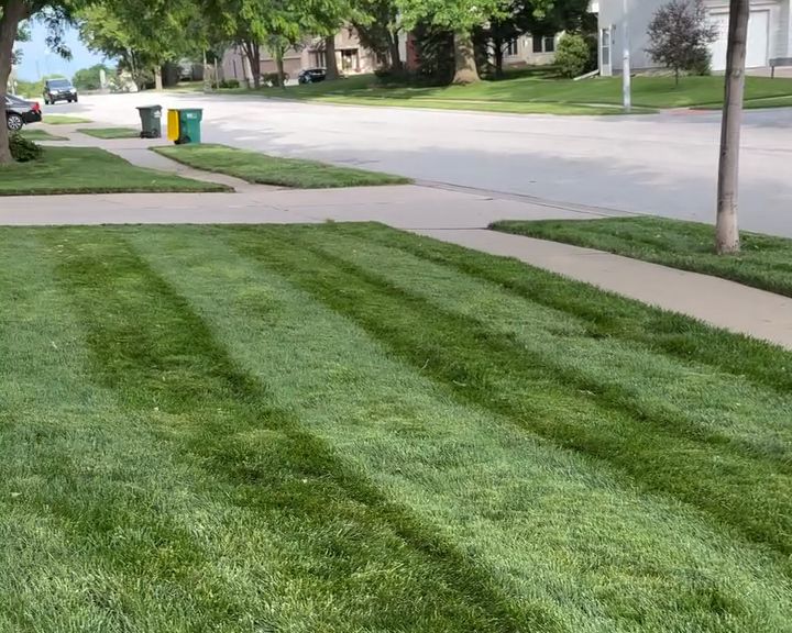 Clean cut edge where the lawn meets the sidewalk