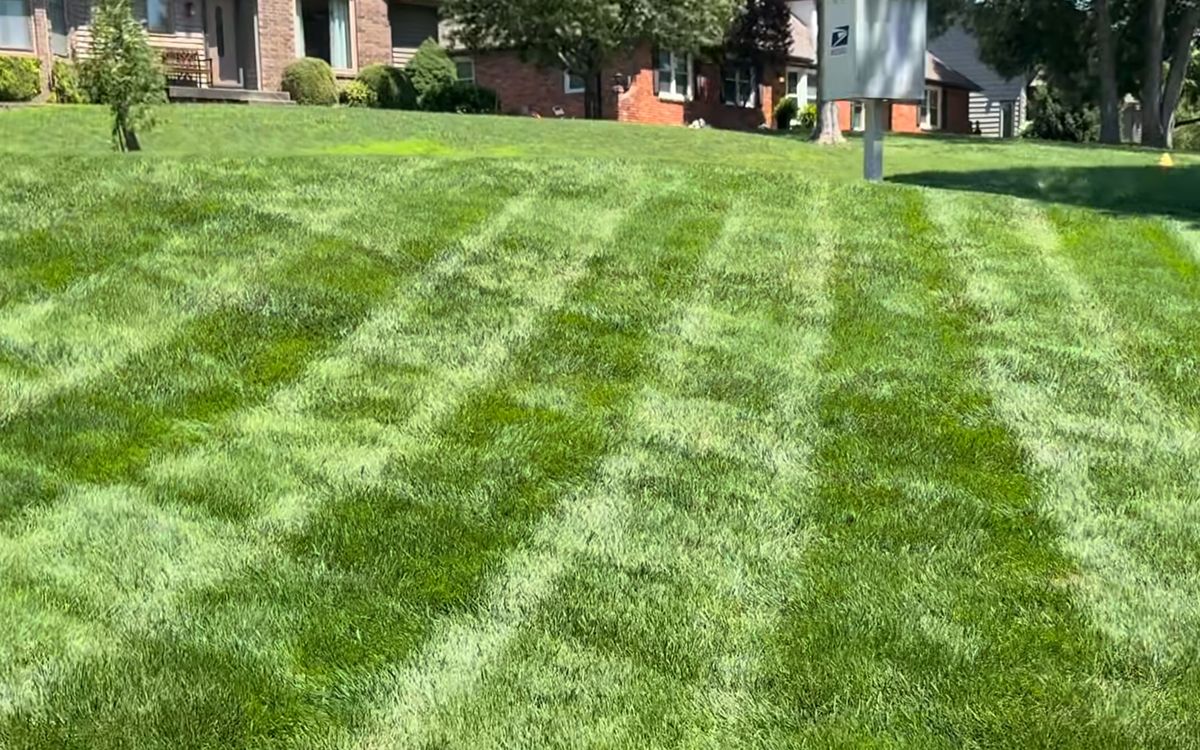 Freshly cut lawn with clean, even mowing stripes