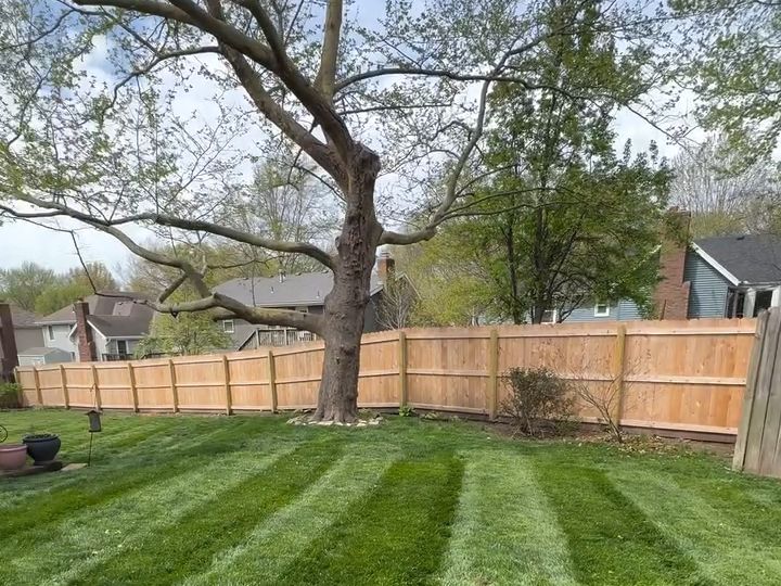 Mowing stripes running to a wood fence line